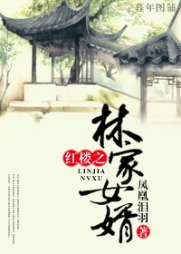 (BG/红楼同人)红楼之林家女婿